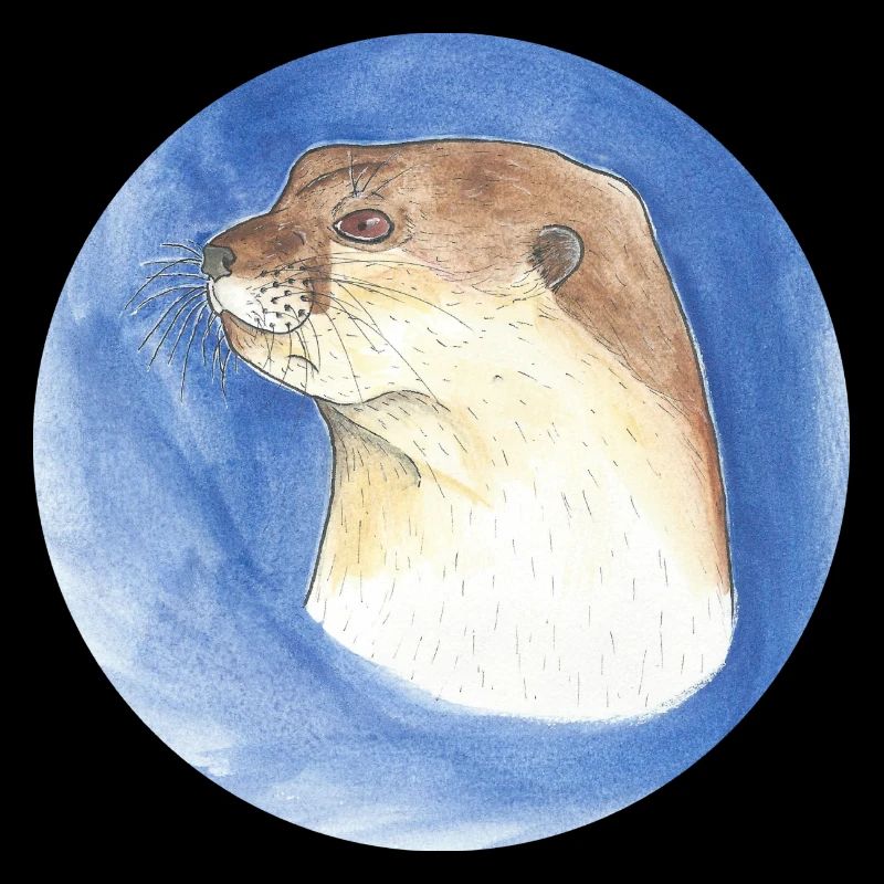230628 loutre 3
