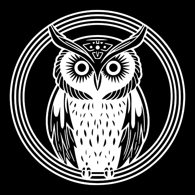 Eule Eulen Vogel Vögel