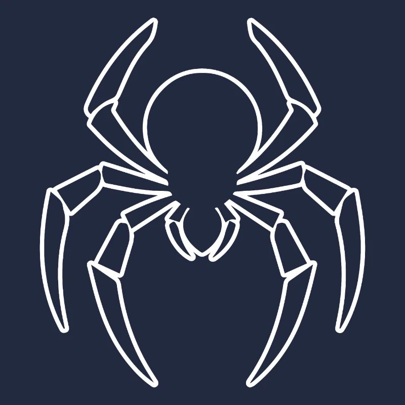 Spider spiders animals