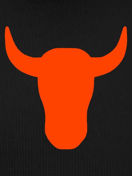 Taurus