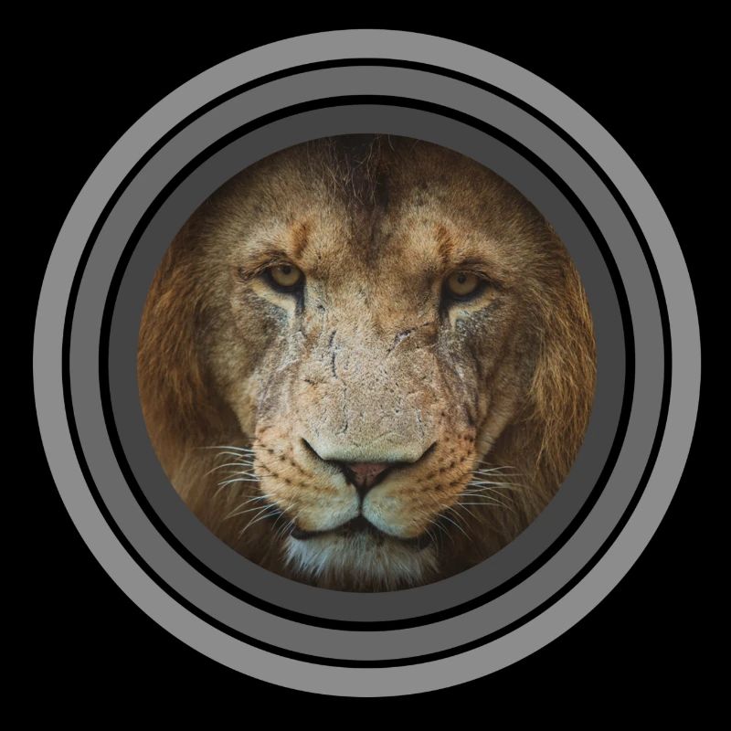 Cercles de couleur de lion noir blanc