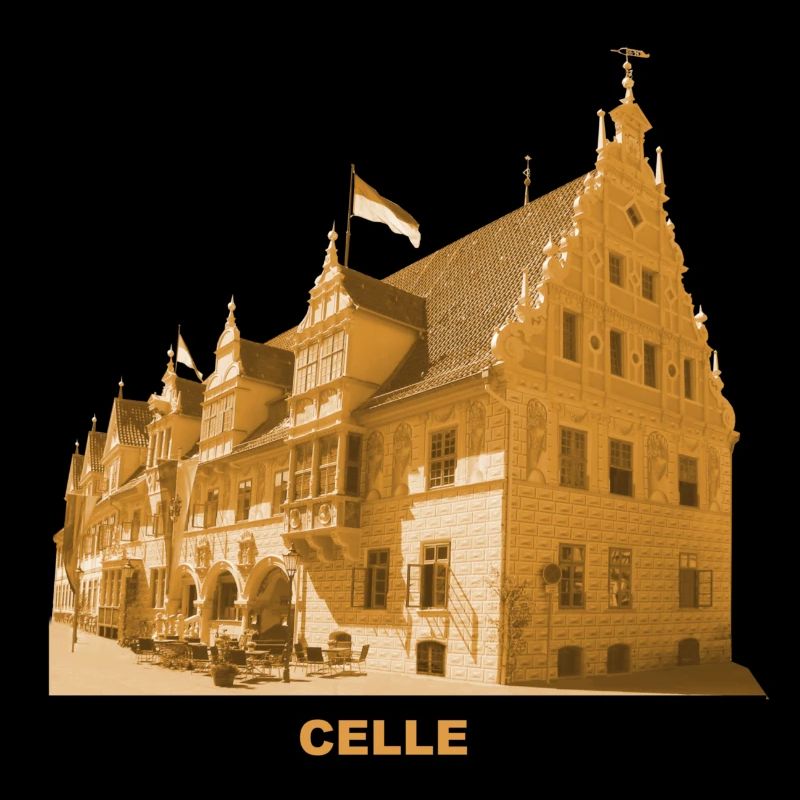 Ancien hôtel de ville de Celle Basse-Saxe