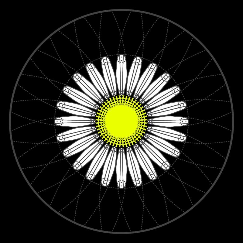 Gänseblümchen - Dunkel