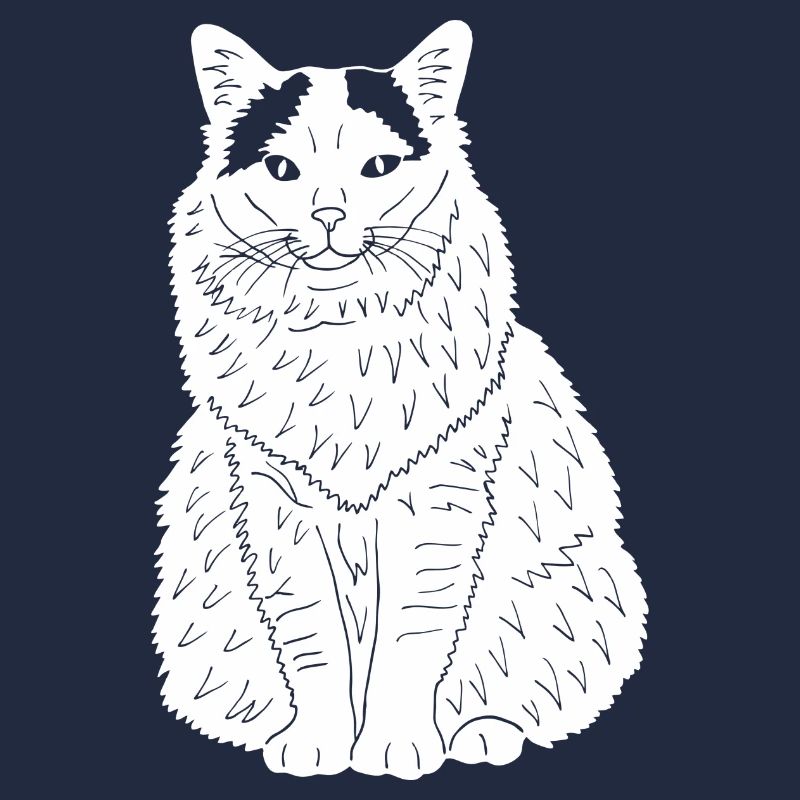 Türkisch Van Katze