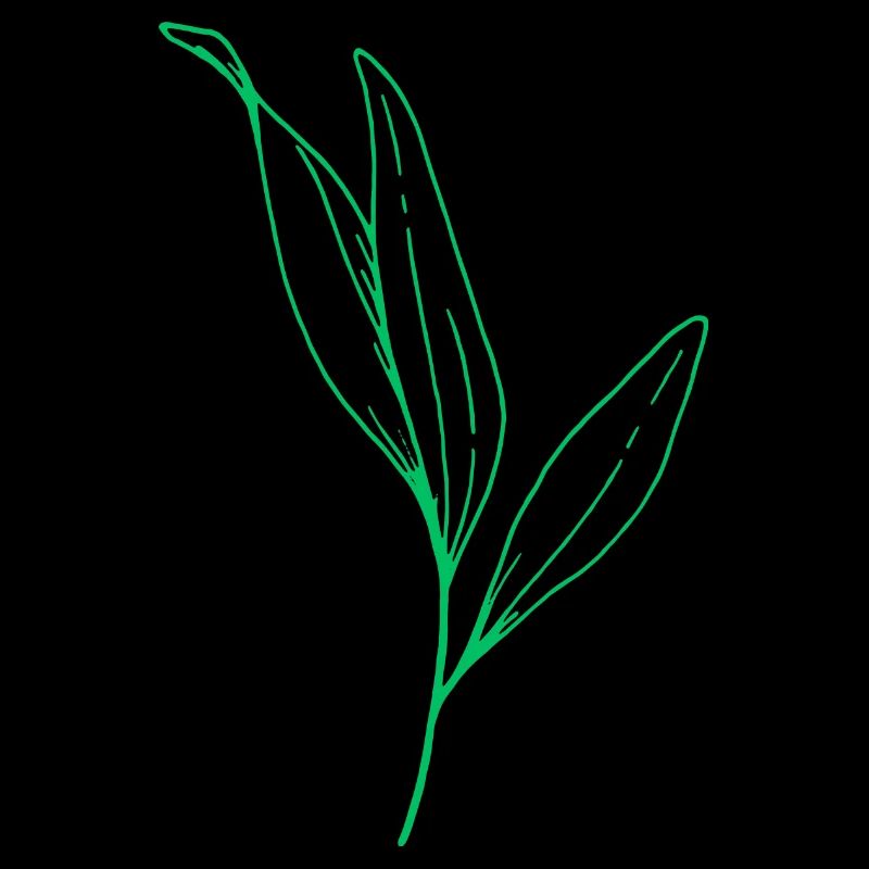Fleurs, plante, feuille