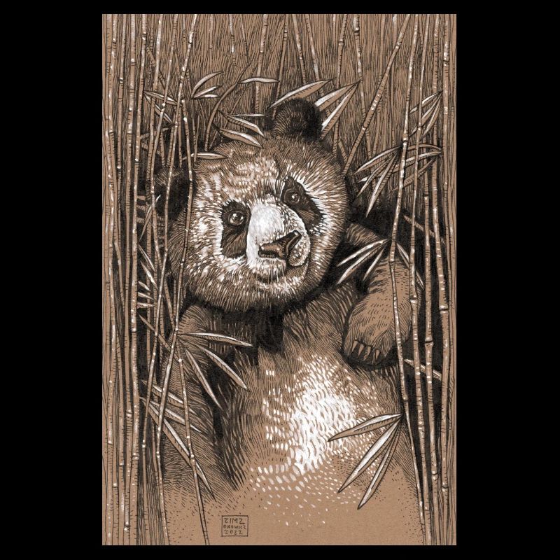 PANDA 02
