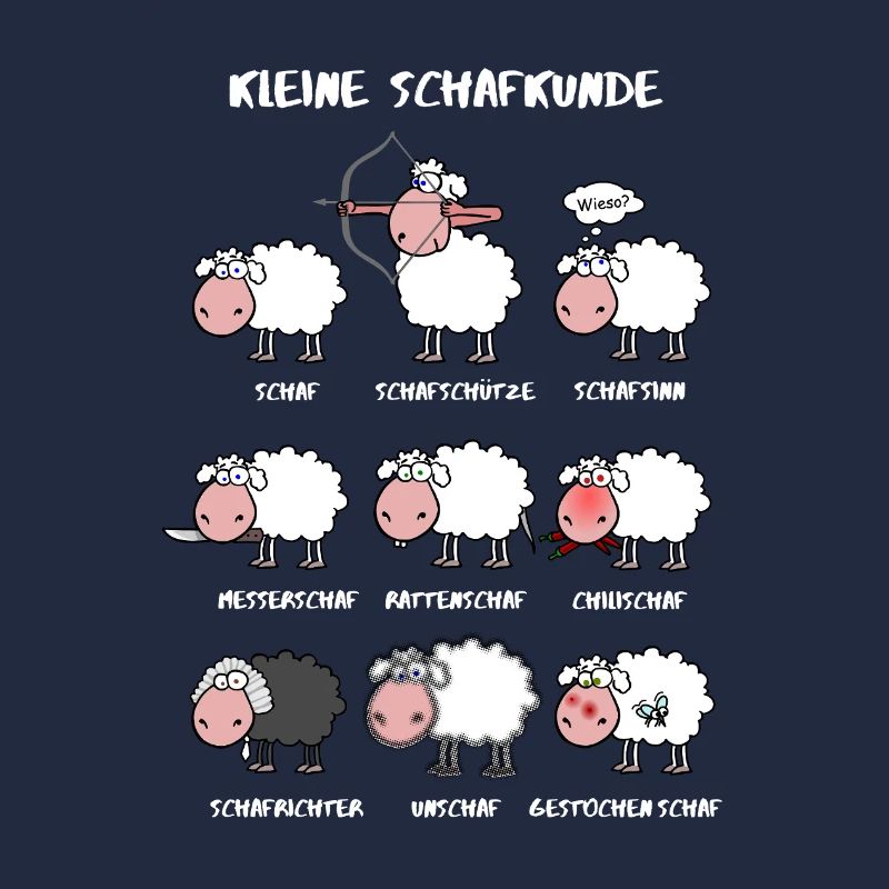 A little sheep knowledge