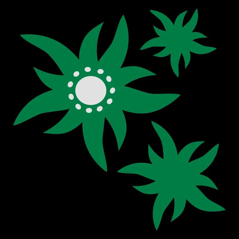 3 fleurs Fleurs d'Edelweiss