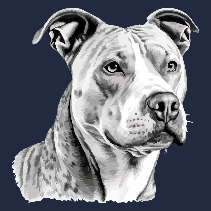 Jack the pit bull
