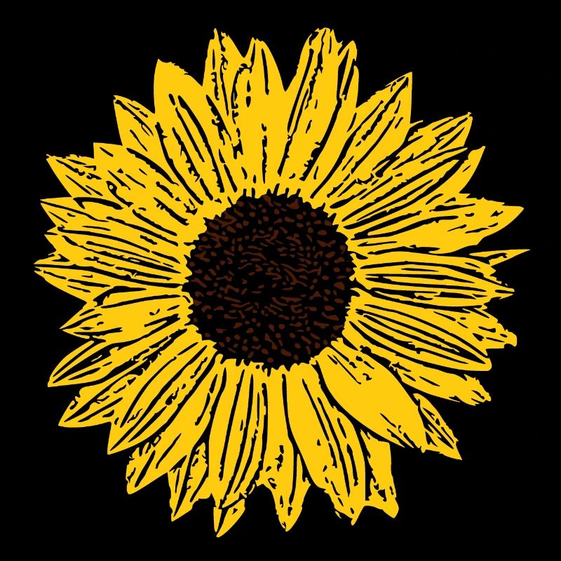 Fleur, jaune, jaune, fleur, tournesol