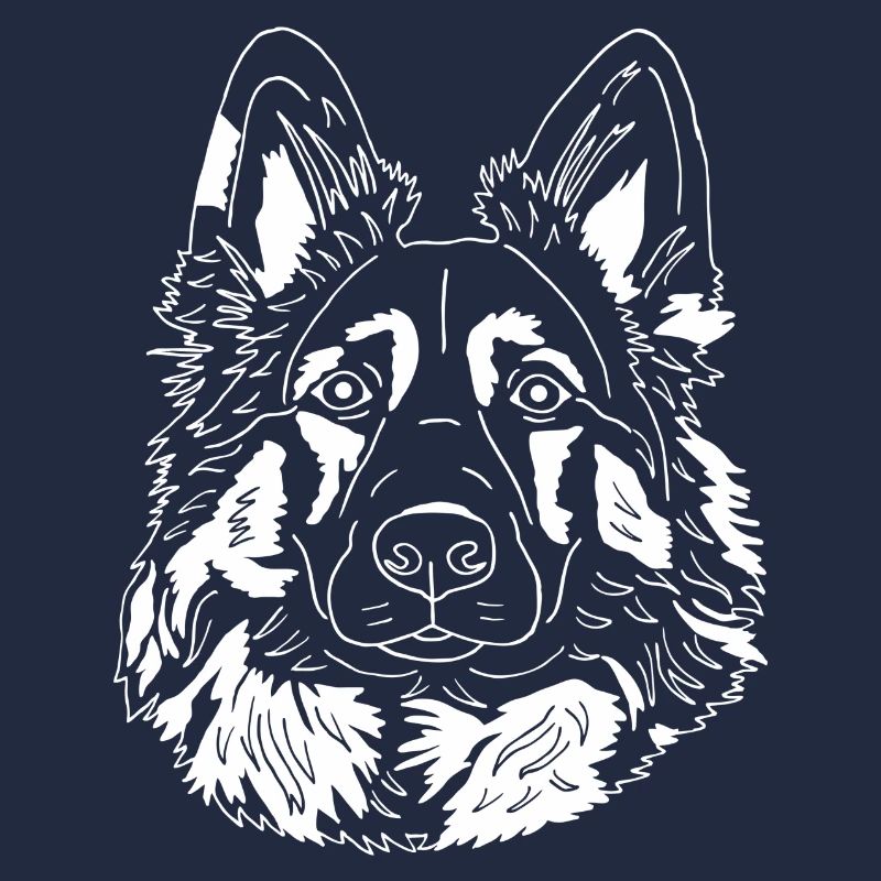 Altdeutscher Schäferhund - Harzer Fuchs Mix