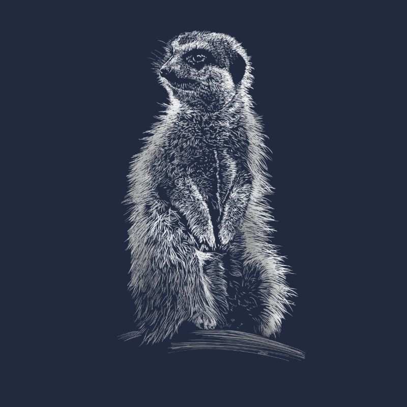 suricates