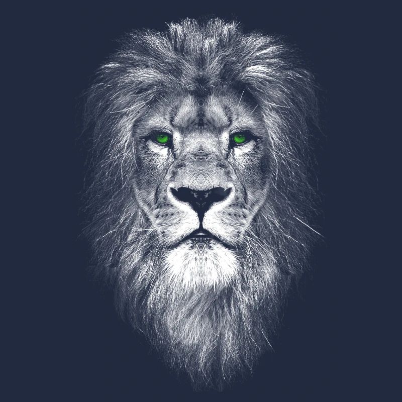 Cool Lion with Green Eyes - Strength Courage Pride
