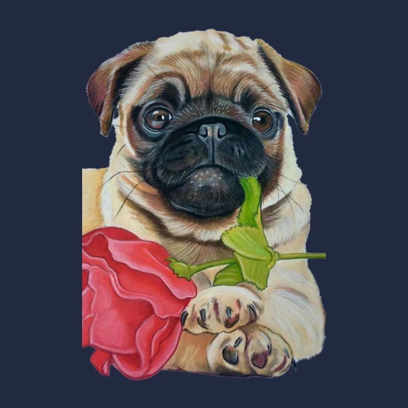 AMOUR