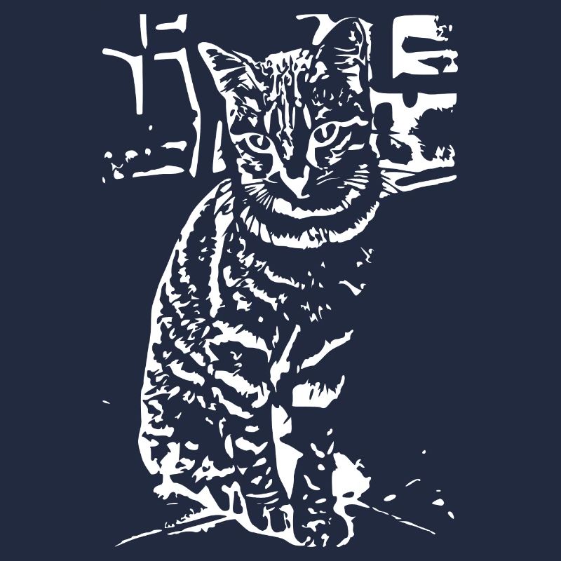 Chat Blanc Blanc Chats Chaton Mignon Cadeau