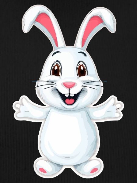 Funny bunny