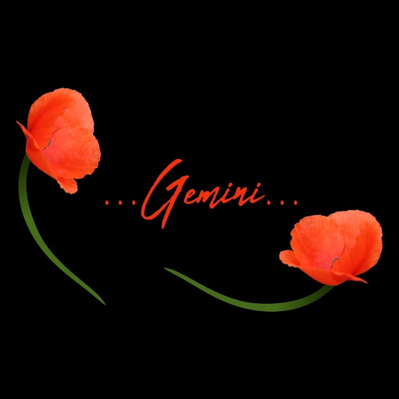 Zwillinge Mohn Klatschmohn Sternzeichen Zwillinge