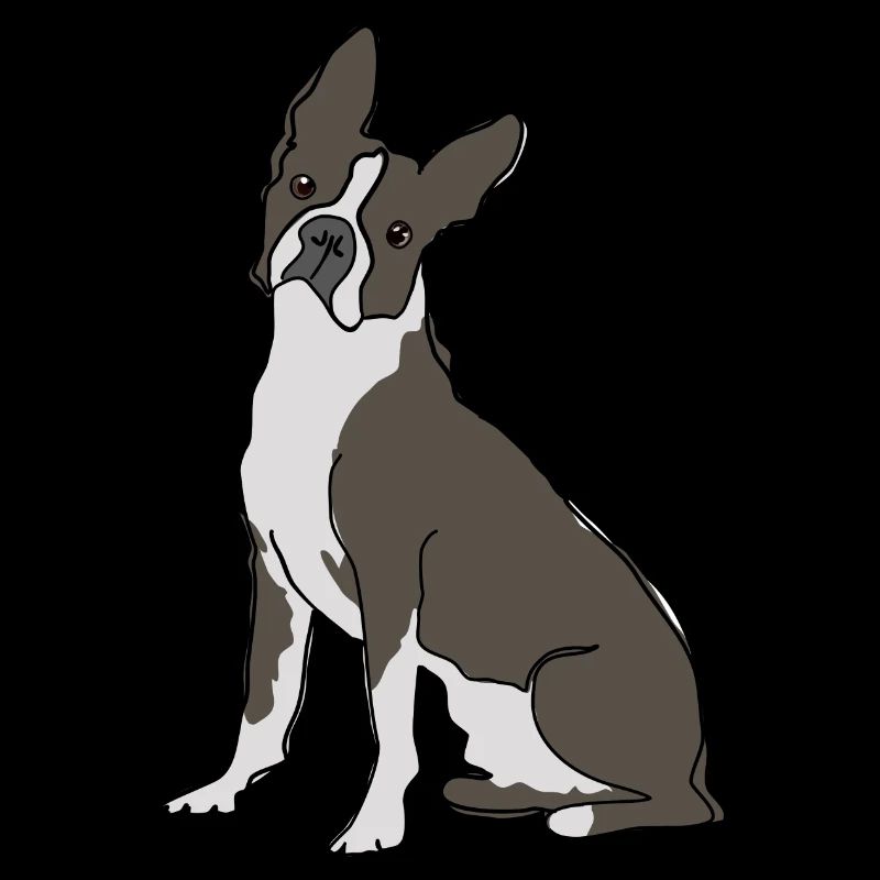 Boston Terrier Strichzeichnung
