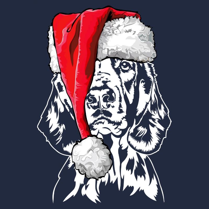 Santa Welsh Springer Spaniel Christmas Wilsigns