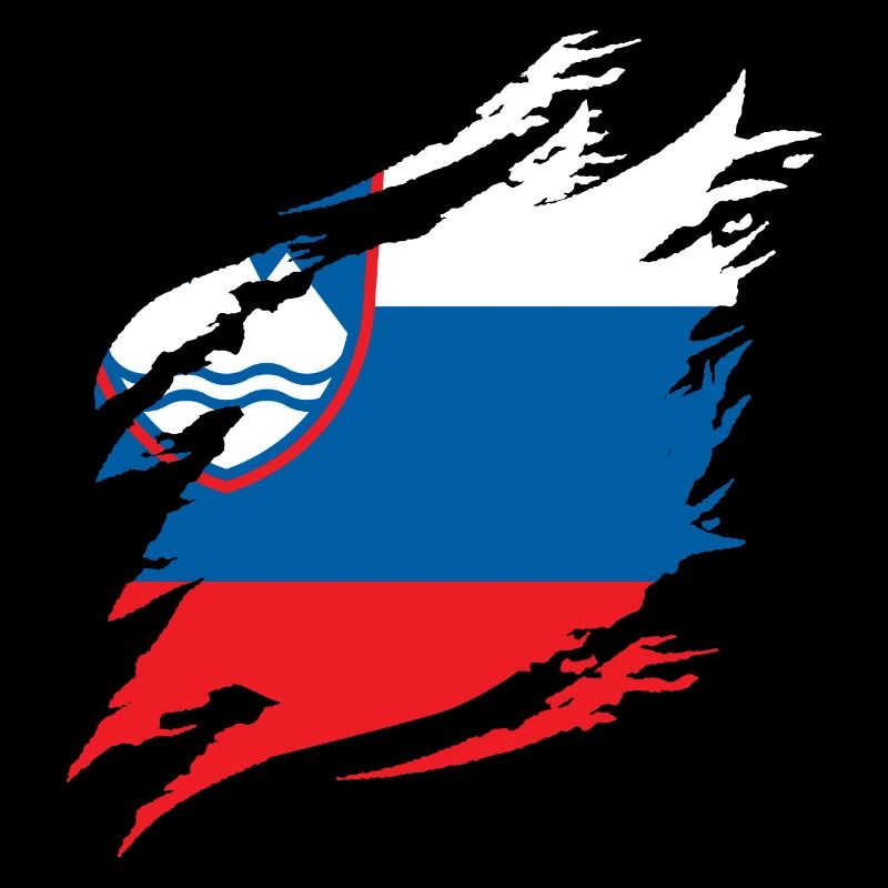 Slovénie Drapeau Balkan Drapeau Slovène Vintage