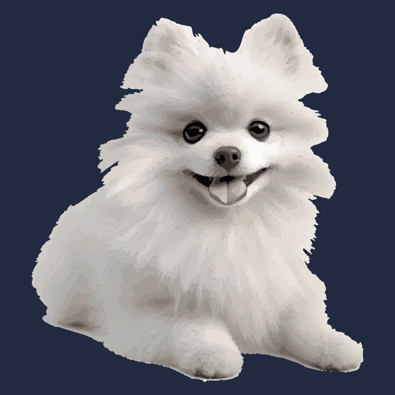 Weißer Pomeranian Geschenk