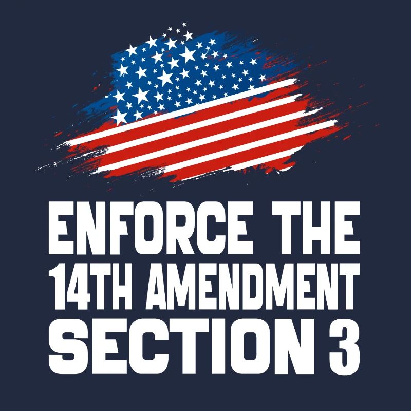 Enforce The 14TH Amendment Section 3