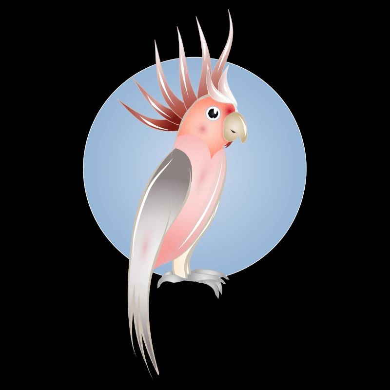 Pink cockatoo bird with delicate blue background
