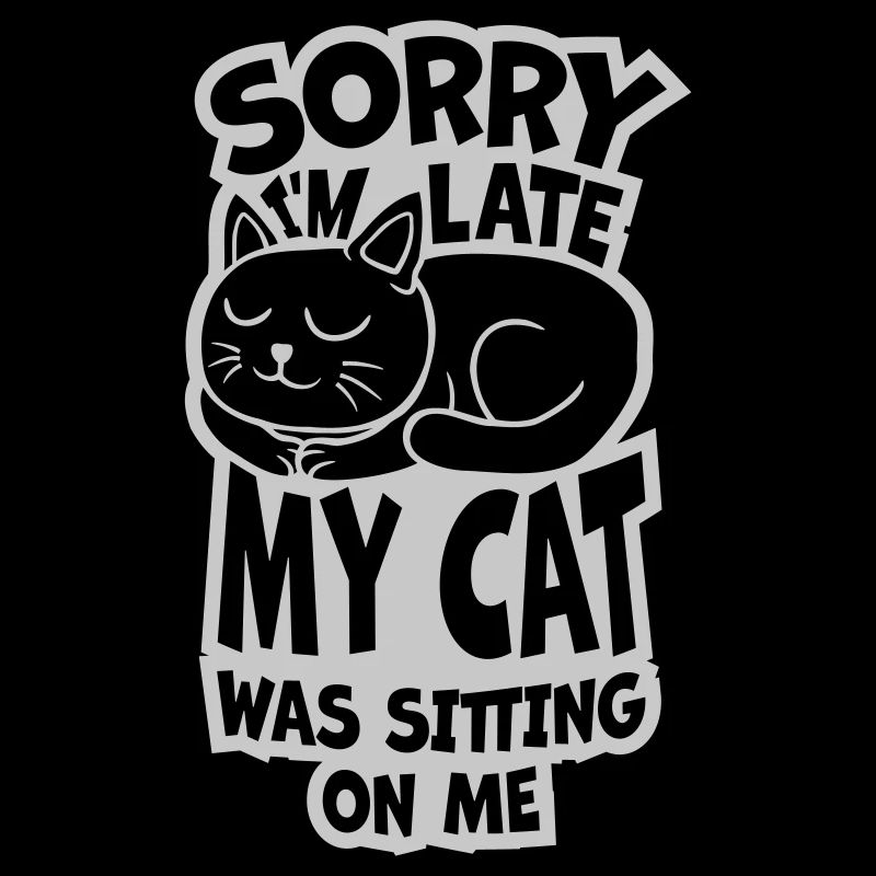 désolé chat était assis