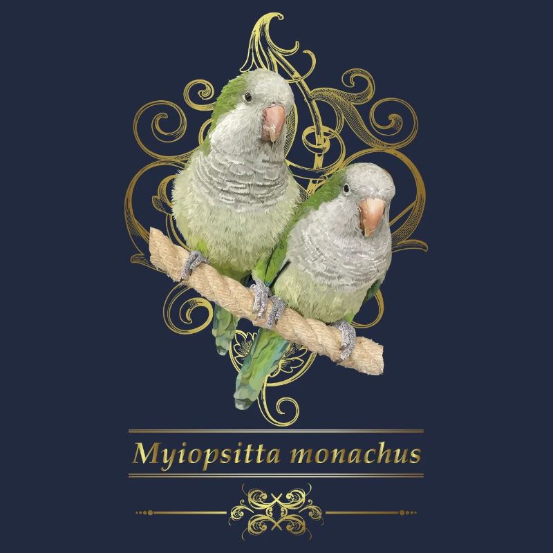 Argentine Parakeet