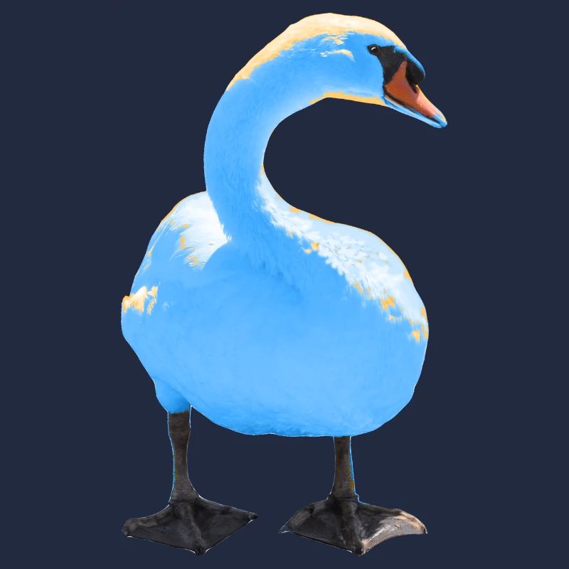 cygne