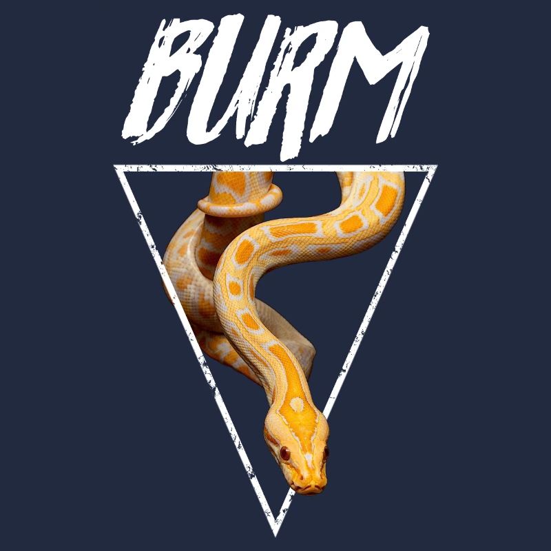 Albino Birmese Python Snake Owner