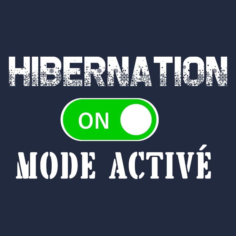 hibernation mode activé