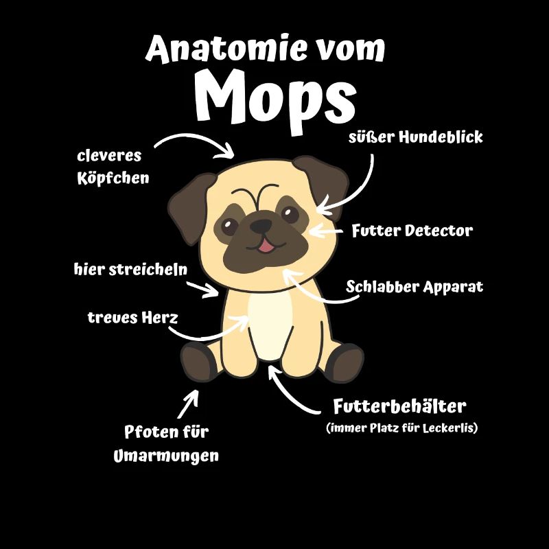 Anatomie eines Mops süße Hunde lustiger Welpe