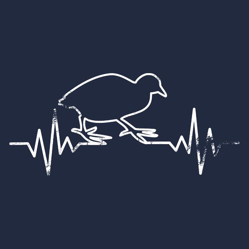 Caille de l’ECG