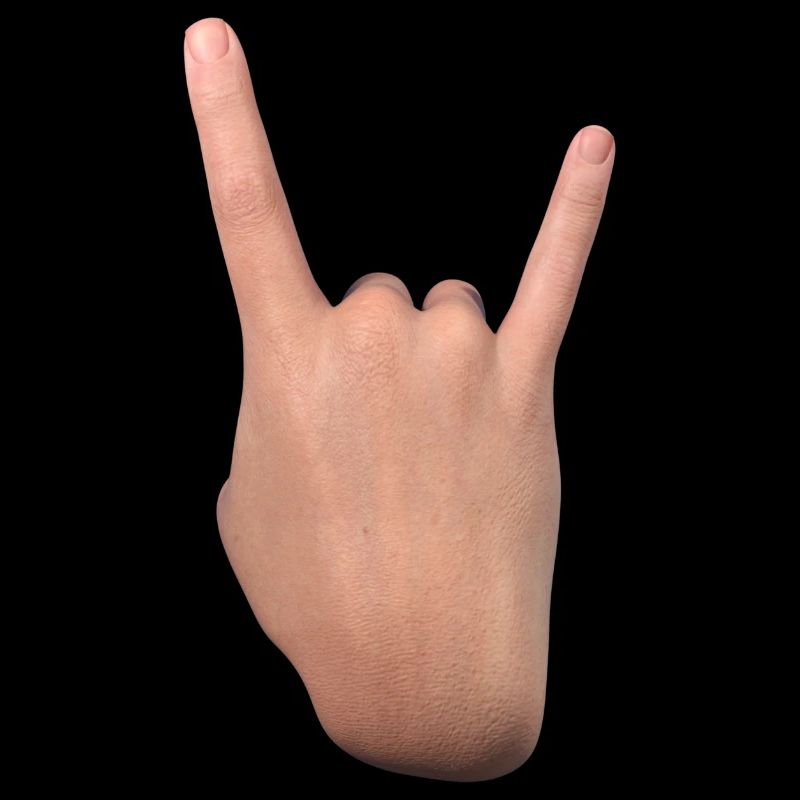 Signe des cornes (dos)