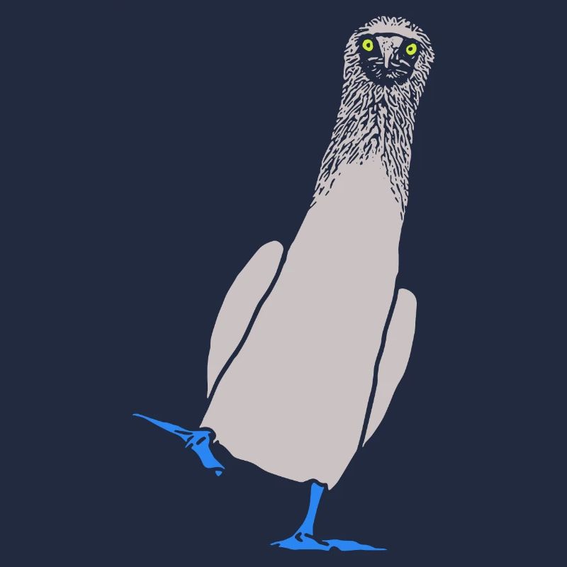 Booby