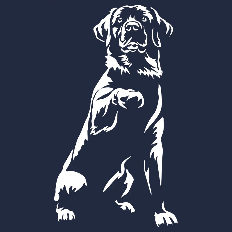 Labrador « Édition Noire »