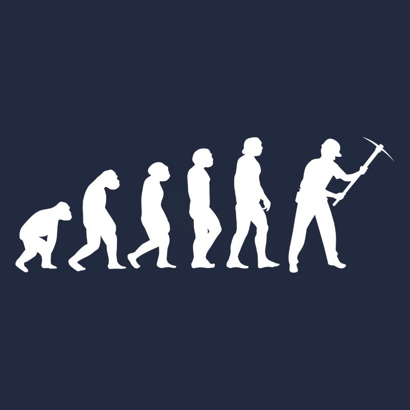 Evolution Bergmann