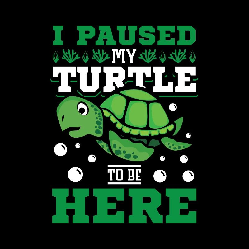 I Paused my Turtle to be here