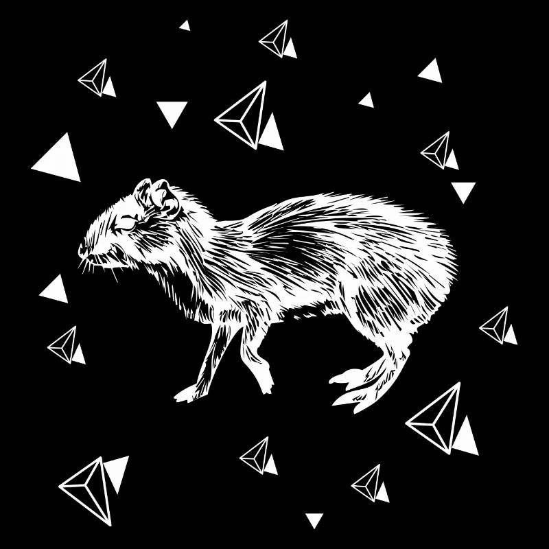 Rat - rongeur