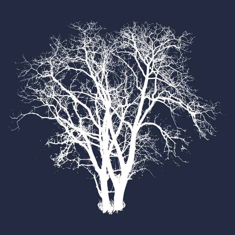 Baum Silhuette
