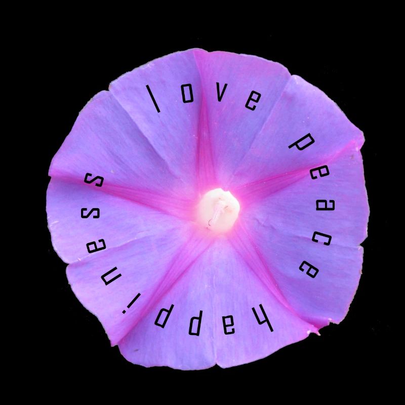 Love, Peace and Happiness