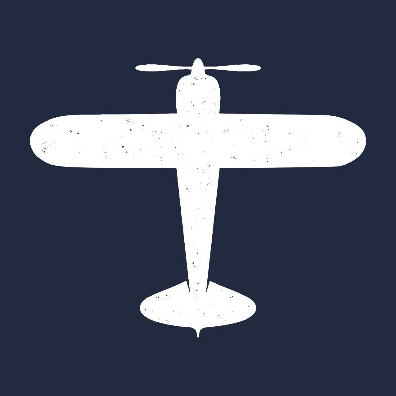 Flugzeug Propellerflugzeug Fliegen