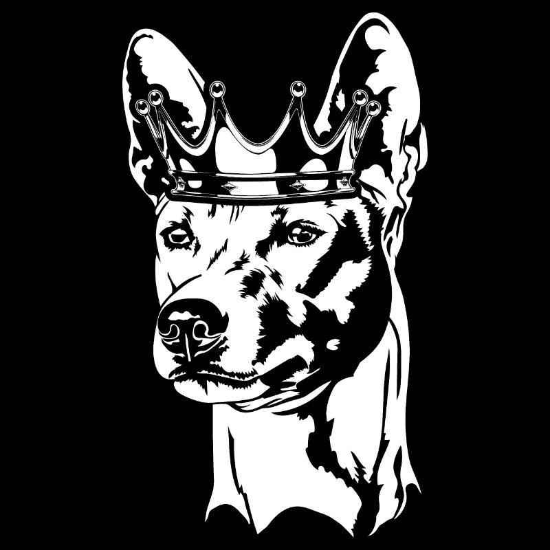 Basenji Krone Hunde Hund Wilsigns