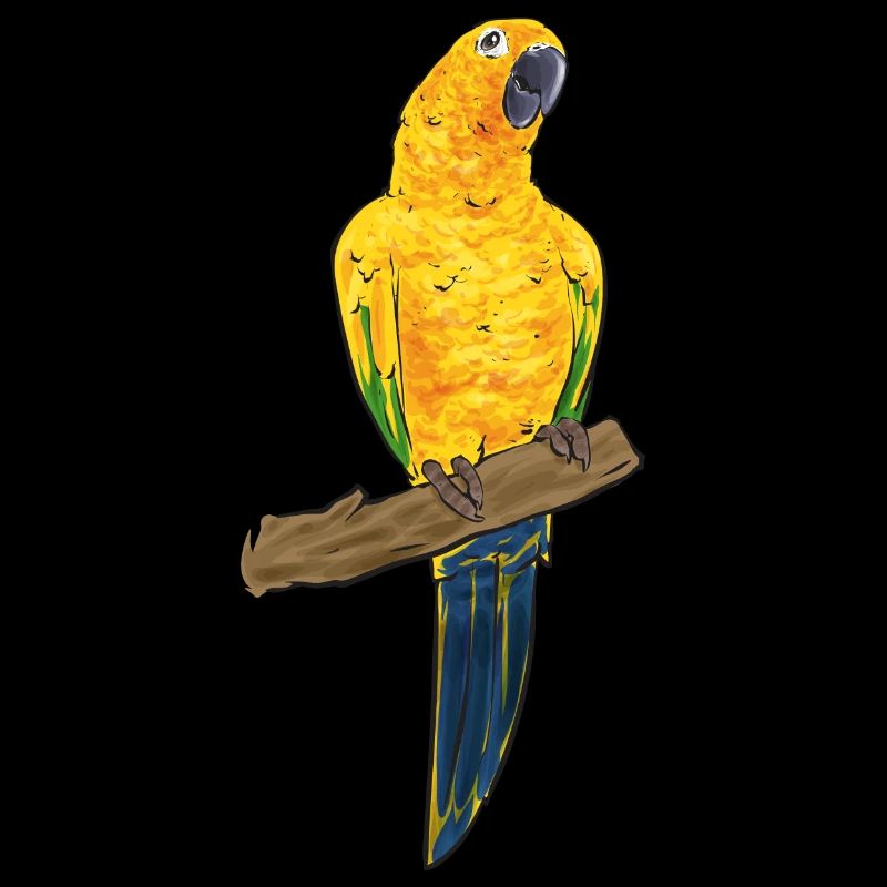Perruche, Perroquet, Perruche, Oiseau