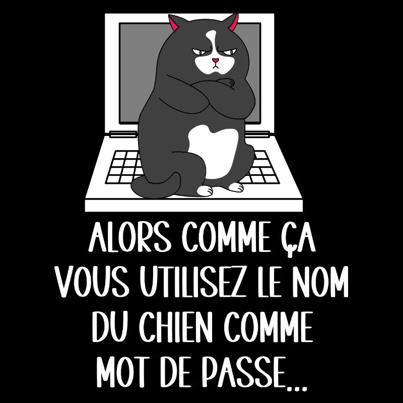 chat jaloux