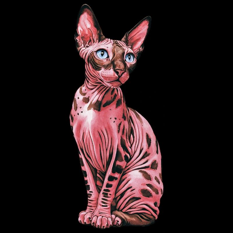Sphynx Cat pour les amoureux des chats