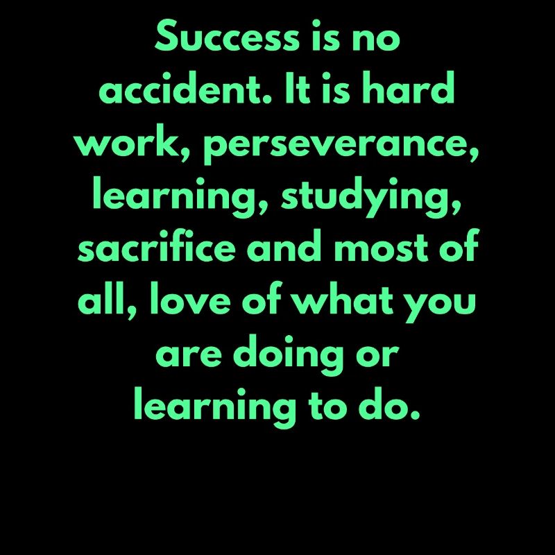 Success Is No Accident It Is Hard Work