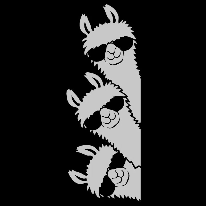 Cool Llamas Team Friends Crew look de côté