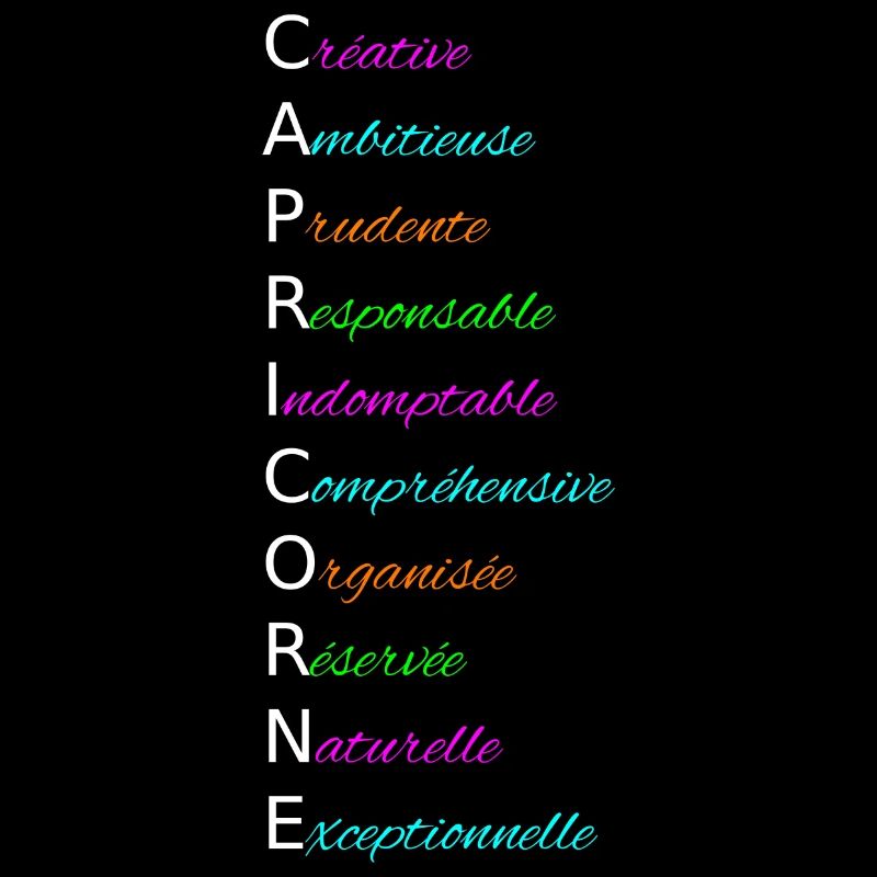 CAPRICORNE Créative Ambitieuse Prudente